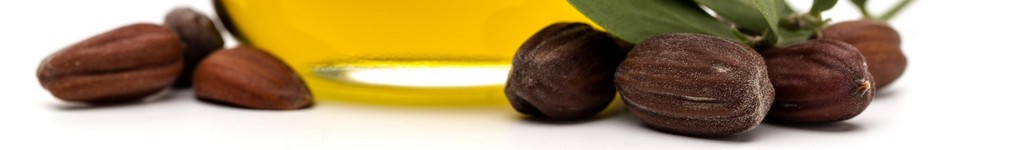 huile jojoba barbe